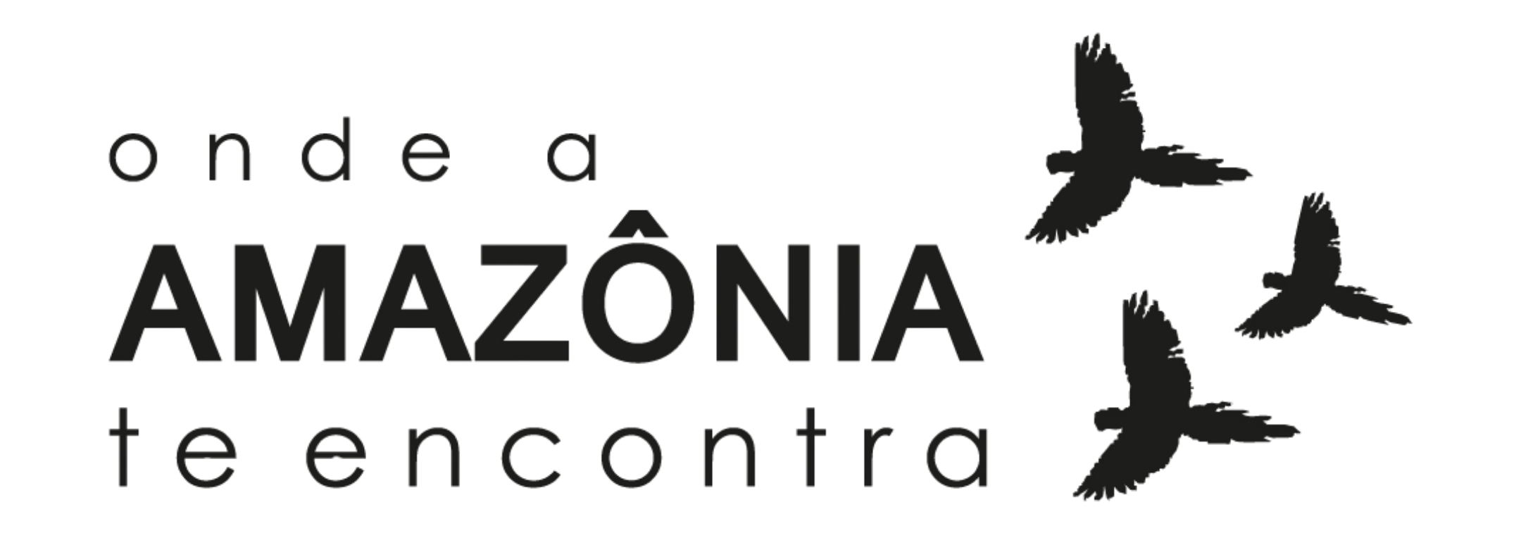 Onde a Amazônia te encontra