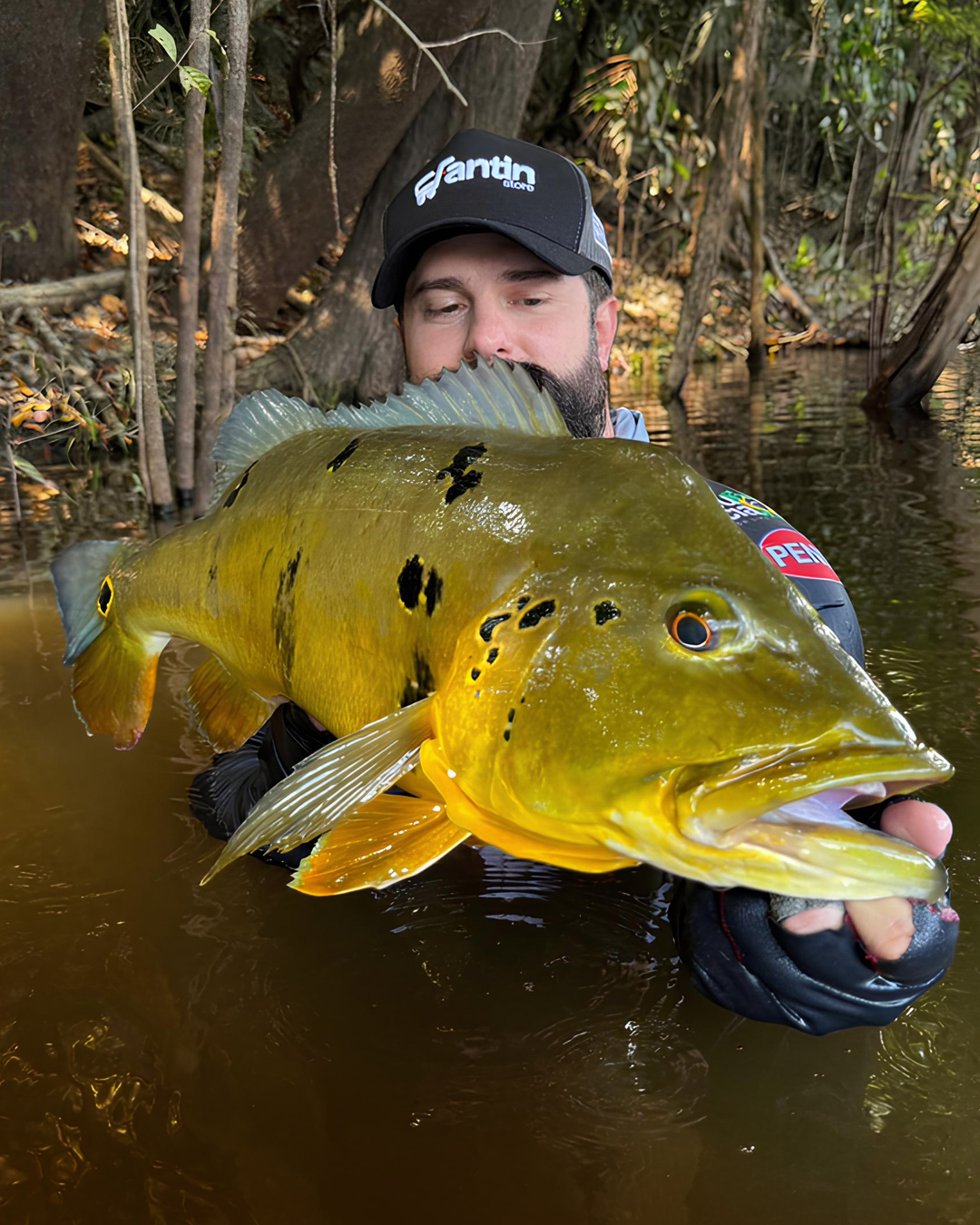 Peixe Tucunaré